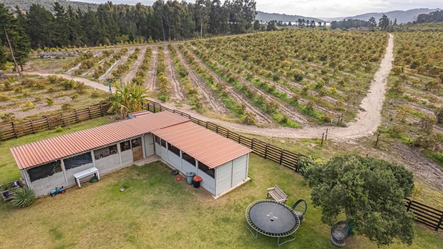 Commercial Property for Sale in Rondevlei Western Cape